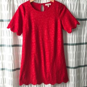 Floral Scallop-sleeve Shift Dress 🌹